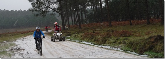 neve