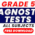 DIAGNOSTIC TEST GRADE 5