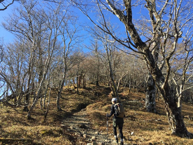 大峯奥崖道の登山道