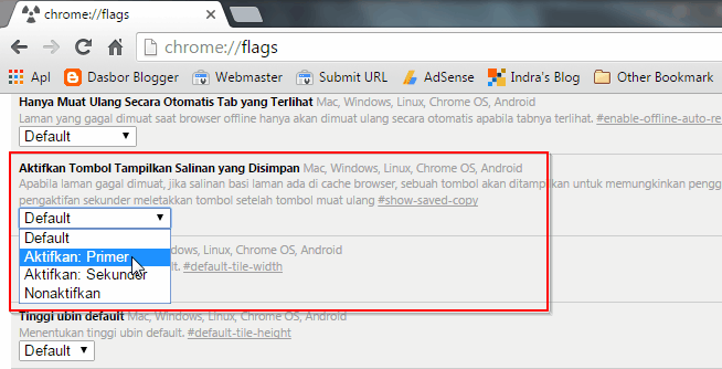 Offline Browsing di Google Chrome