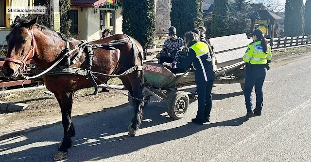 Acțiuni pentru responsabilizarea căruțașilor, la Pătrăuți