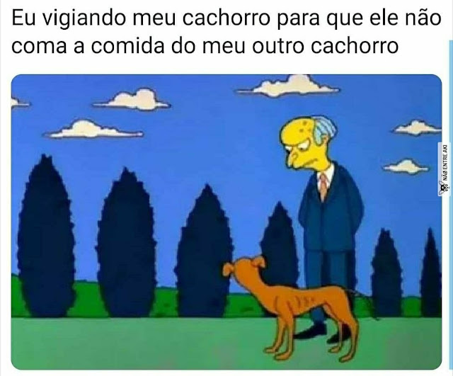 Memes engraçados 