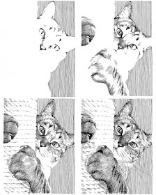 07-Scratching-post-cat-WIP-Ineko-Kawai-www-designstack-co