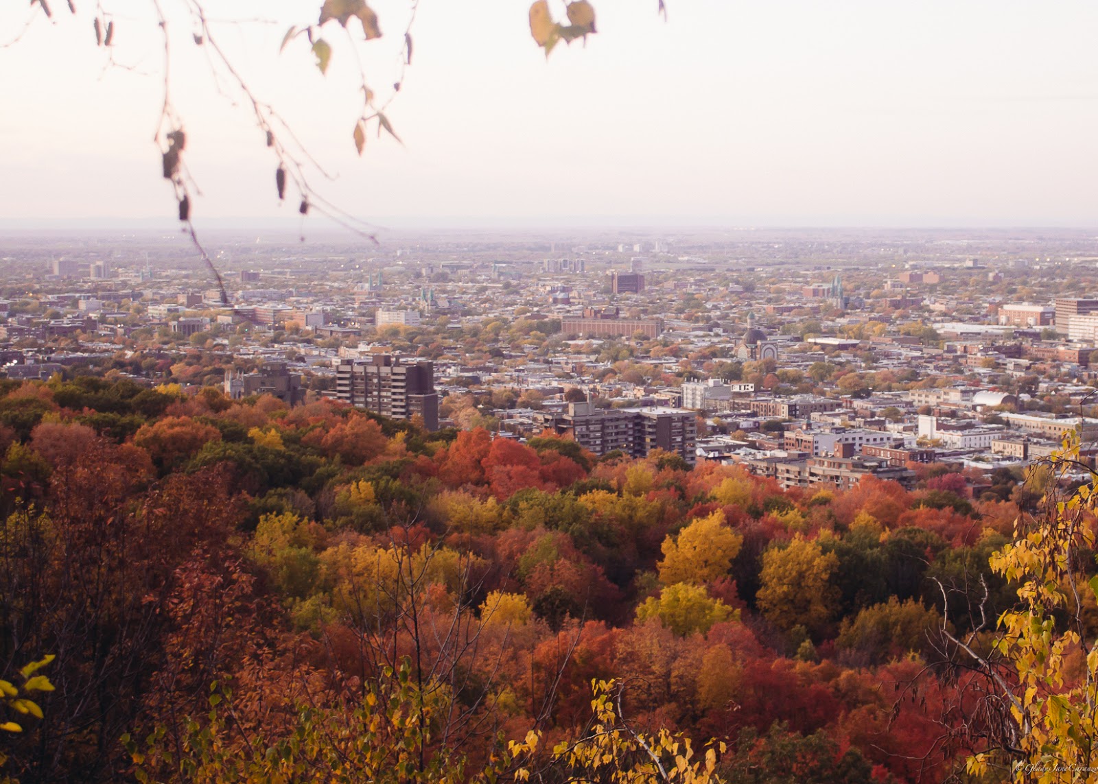 Things To Do in Montreal, Quebec, Canada