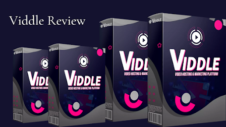 Viddle review