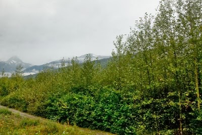 DSC_5621