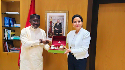 Gas Pipeline: FG, Morocco expedite talk on project - ITREALMS