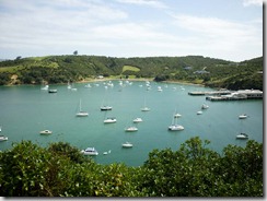 Waiheke02