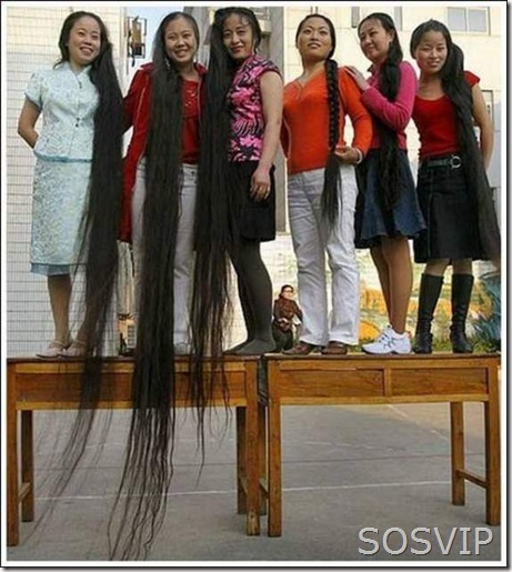 Piores Cortes Cabelo (8)
