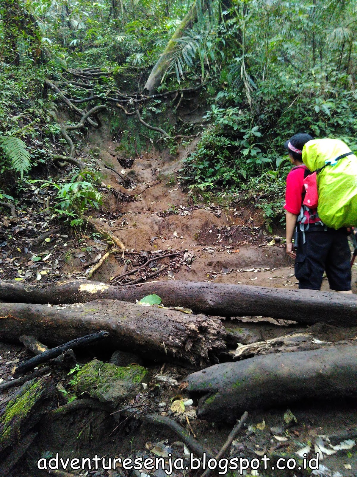 Kisah Mistis Saat Pendakian Gunung (Pengalaman Pribadi 