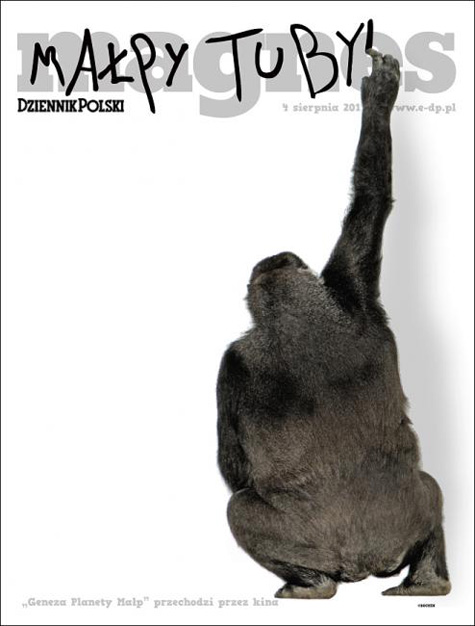 Magnes Ape Cover