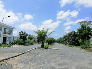 z2467602686833_a253d15d372d912b6523a358a90c6d9a