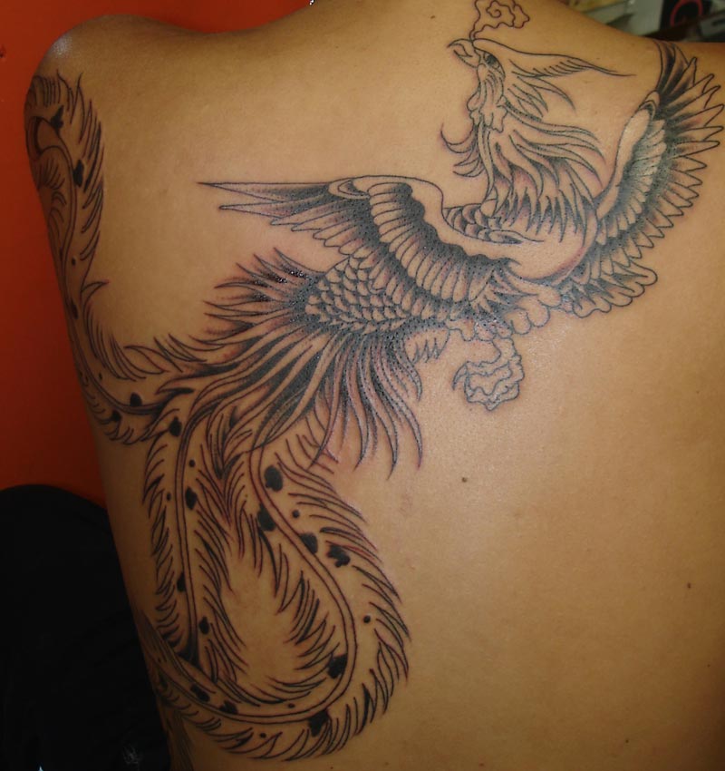 I've decided I'm getting a phoenix tattoo once I can walk again