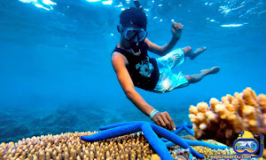 snorkeling pulau harapan