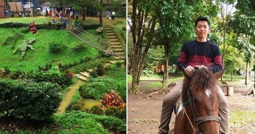 13 Potret Terkini Kebun Binatang Medan Biaya Masuk Koleksi Dan Lokasi Pariwisata Sumut