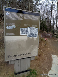 Appalachian trail at Great Smoky Mountains National Park