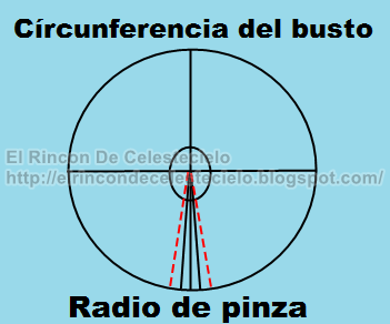 Radio de pinza
