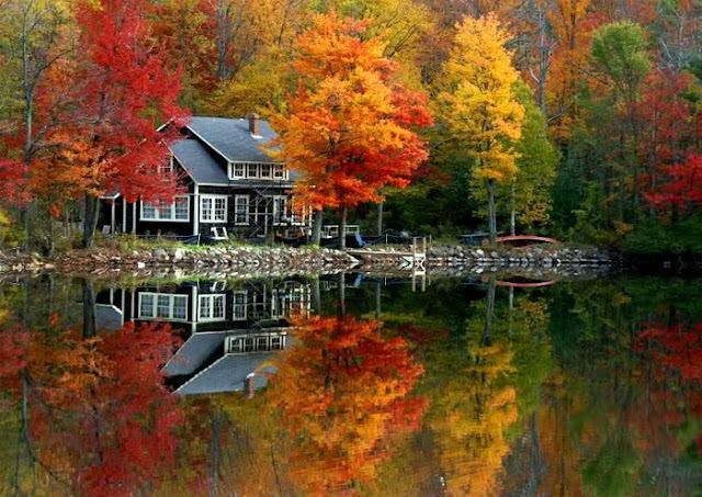 Awesome Reflection Pictures