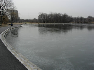 Frozen lake, New Jersey