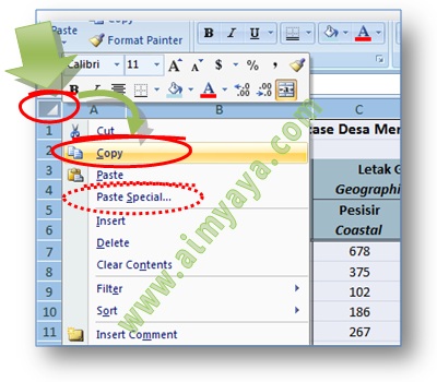  Untuk menciptakan duplikasi sebuah worksheet tanpa menyertakan rumus atau  formula yang ada d Ahli Matematika Cara Copy Paste Worksheet Tanpa Rumus Di Ms Excel