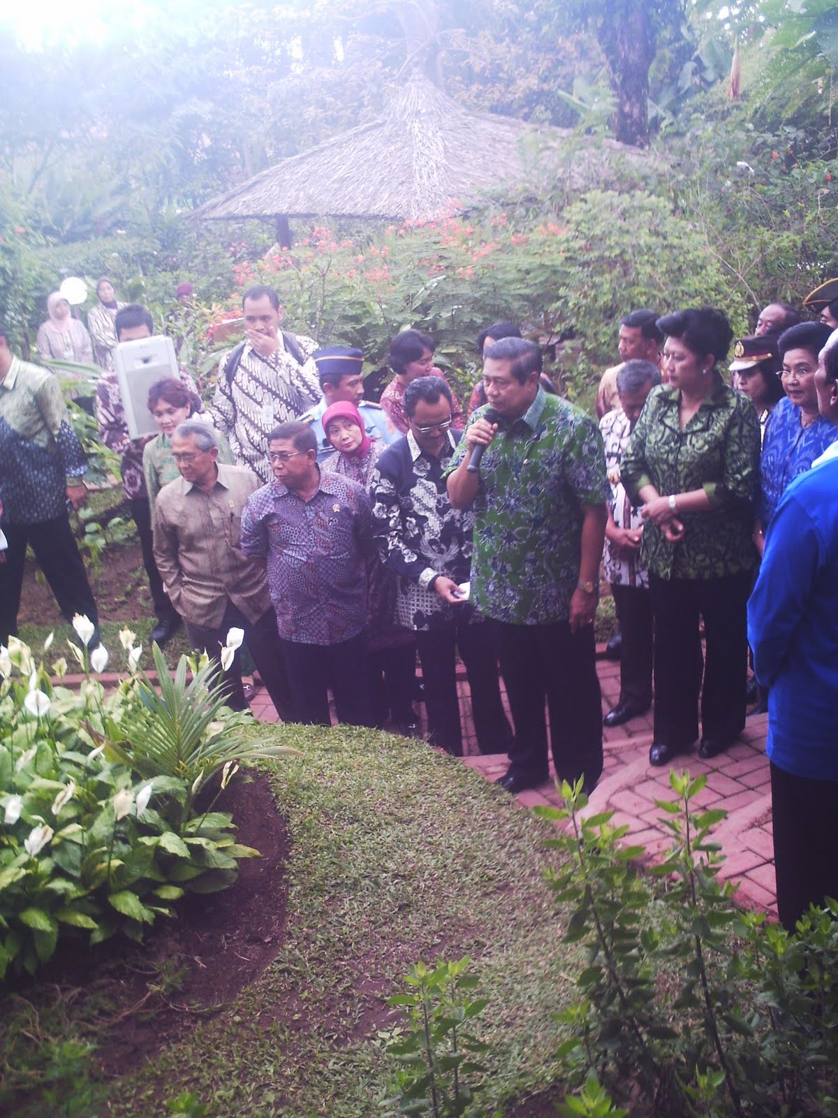 KUNYIT PETANI KUNYIT INDONESIA KUNYIT PETANI KUNYIT 