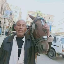 مصرع  أقدم سائق حنطور في حادث انفجار ماسورة غاز بطنطا