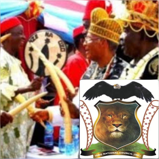 Igbo group begins strict enforcement of ‘Operation Lion Walk’