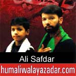 https://www.humaliwalayazadar.com/2012/11/ali-safdar-nohay-2005-2013.html