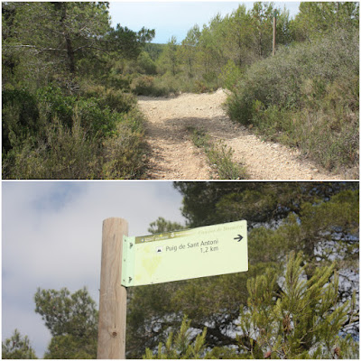 ALBINYANA - ERMITA SANT ANTONI - PUIG DE SANT ANTONI, camí de la plana Els Fornassos i bifurcació amb el Camí d'Escansa