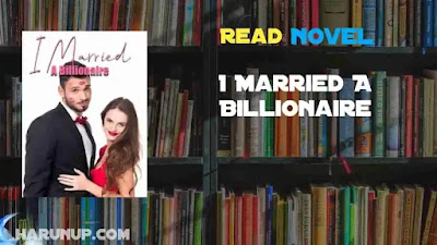 I Married A Billionaire Novel