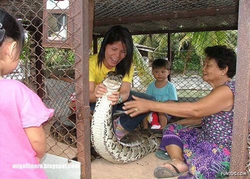 xcserpiente (3)