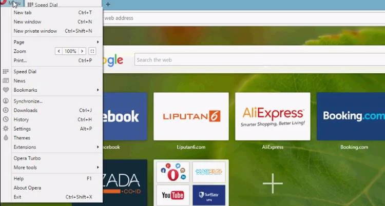 menu browser opera