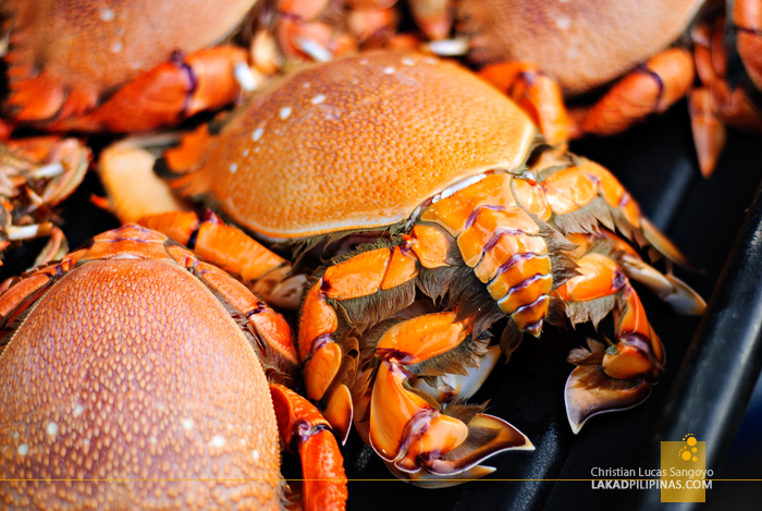 Strange Crustacean at Kota Kinabalu Market