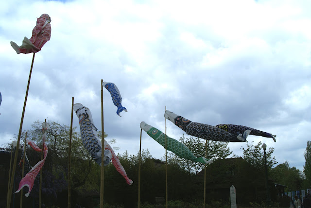 Jardin d'Acclimatation Koinobori