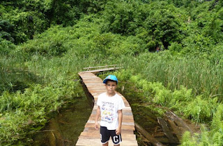 Ninh Binh, Cuevas de Trang An.