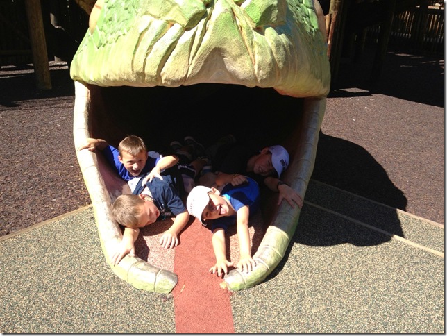 zoo4