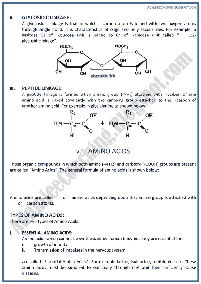 XII Chemistry Notes - Chemistry Of Life