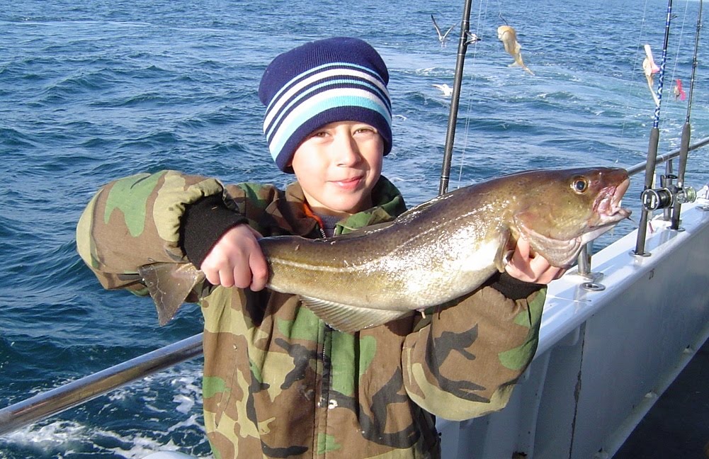 no fluke fishing: Fishing for cod is fun for adults and children