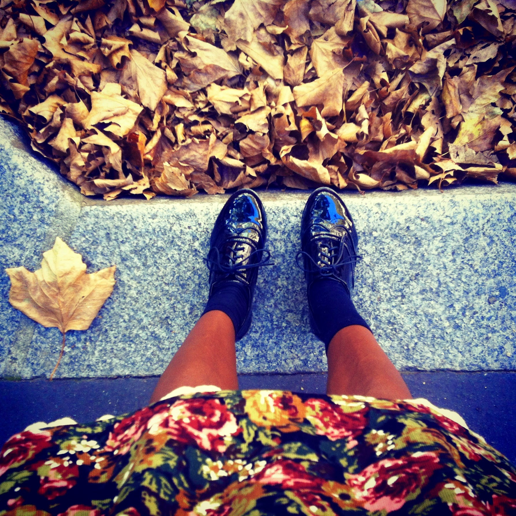 Welcome Autumn!