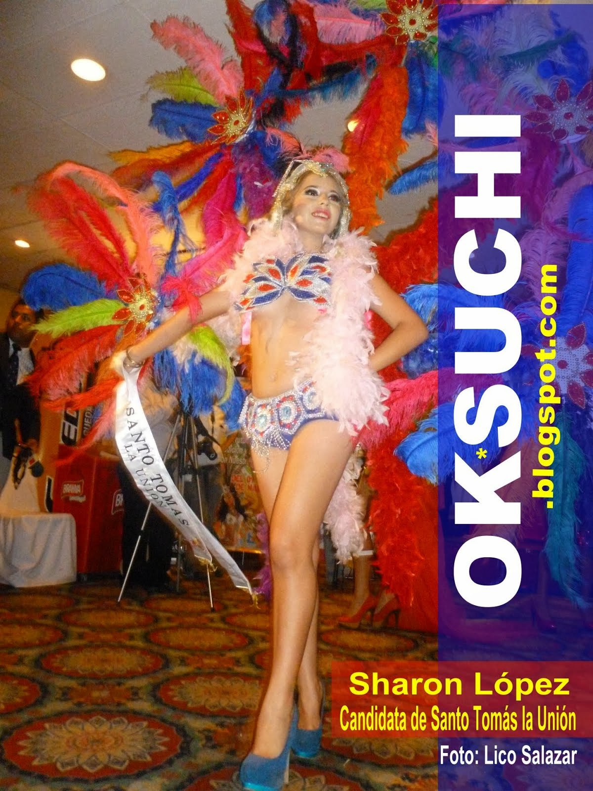 CARNAVALITO 2014