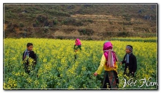 Một thoáng Hà Giang