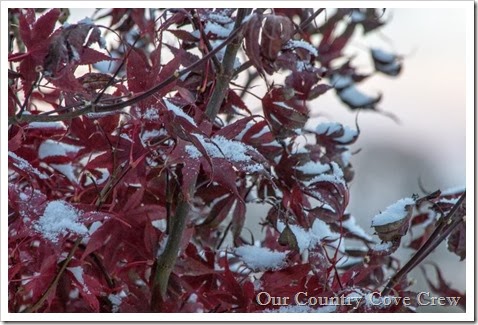 Fall 2013 November (5 of 6)-2