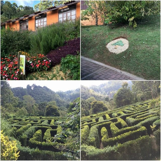 Parque Amantikir, jardins que falam (Campos do Jordão-SP)