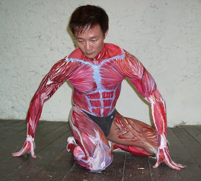 Muscular anatomi painting