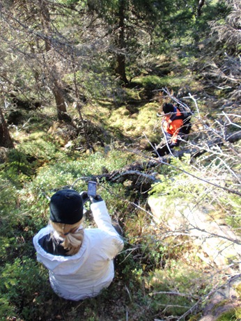 Källfjället 070