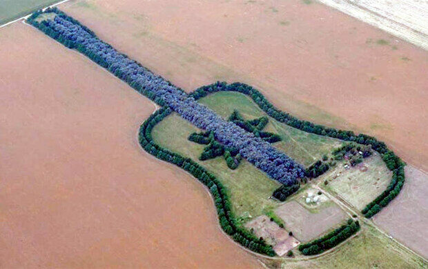 La Guitarra: Floresta em forma de violão