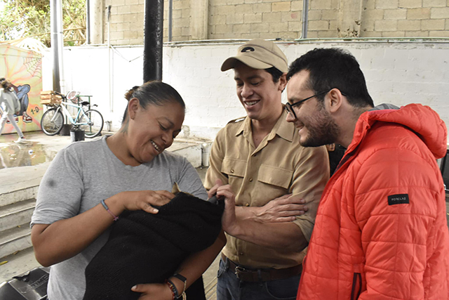 Los "michis" de Mérida con mucho qué celebrar en el Dia del Gato