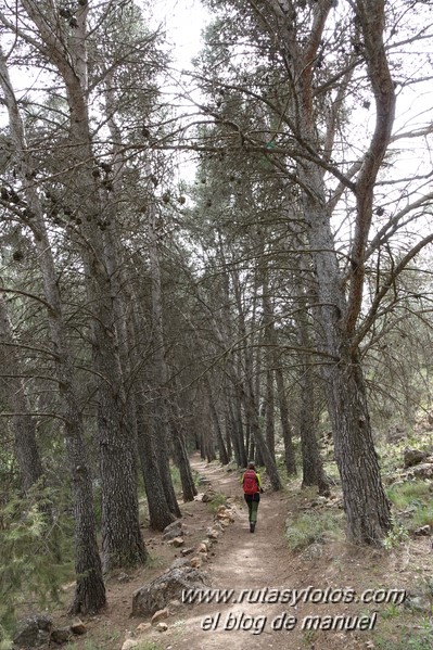 Sendero del Nacimiento del Río Turón