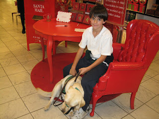 Nick in a chair next to Santa's mailbox. Poppy trying to lie down with her tail a blur of movement