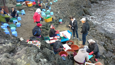 Jeju Island Beach